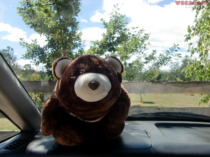 Gund Snuffles, depression, enjoy life