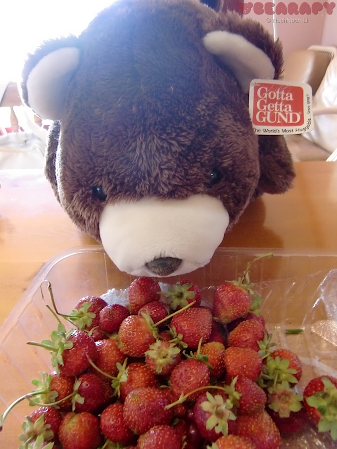 Gund Snuffles, bearapy to treat depression, creativity,