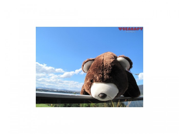 Bearapy, Gund Snuffles, teddy bears, bear, creativity from depression