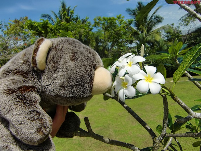 Bearapy, Gund Snuffles, teddy bears, bear, creativity from depression