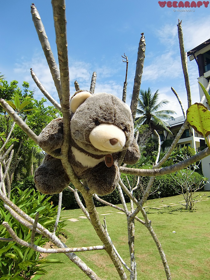 Bearapy, Gund Snuffles, teddy bears, bear, creativity from depression