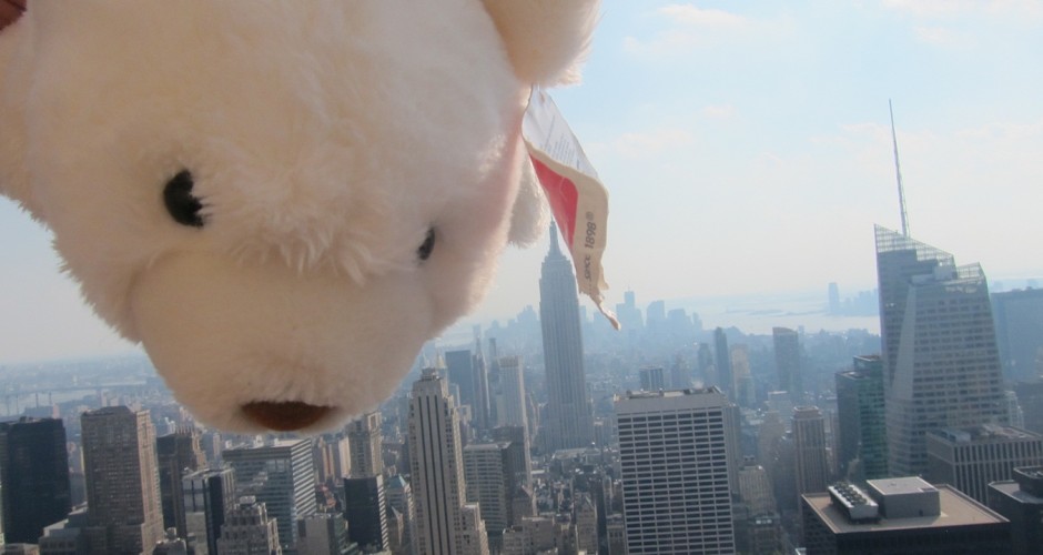 Floozie flying in New York
