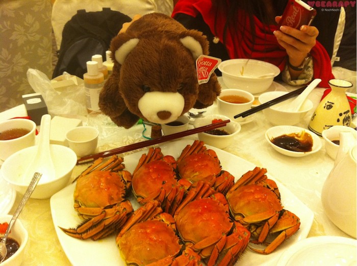 Bearapy, Gund Snuffles, teddy bears, bear, creativity from depression