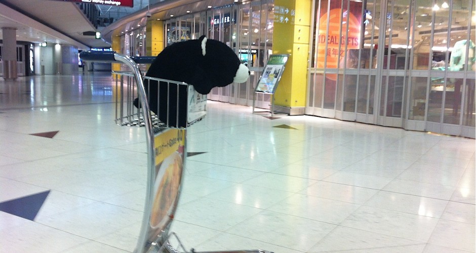 Lurkie loiters about the airport