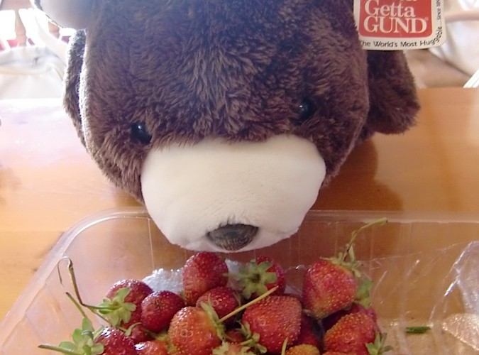 fresh strawberries!