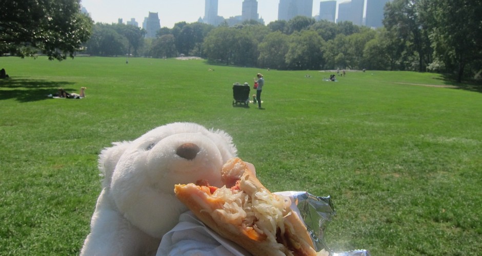 pizza in Central Park
