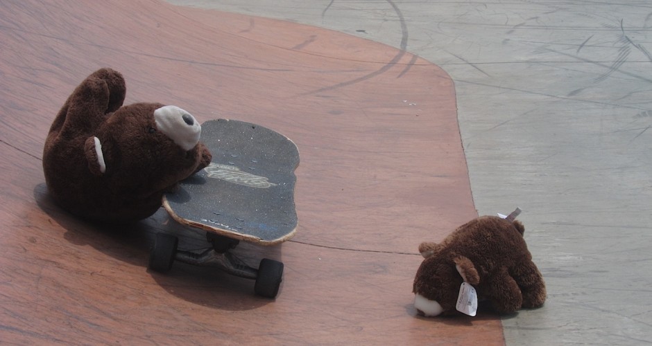 Skateboarder bears I