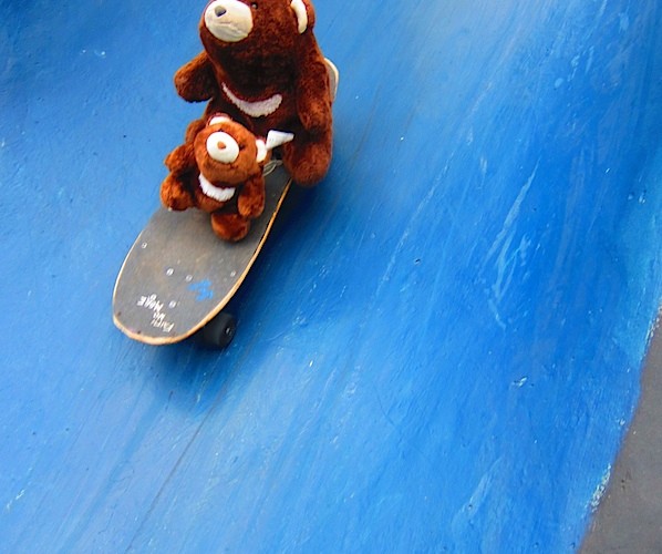 Skateboarder bears II