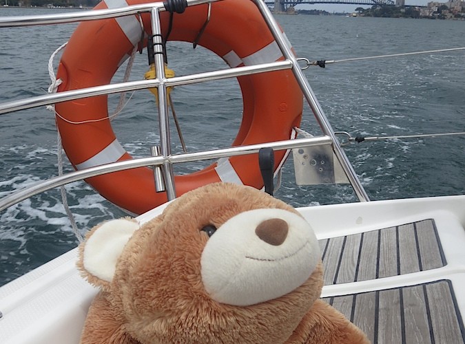 Chillie goes sailing on Sydney Harbour